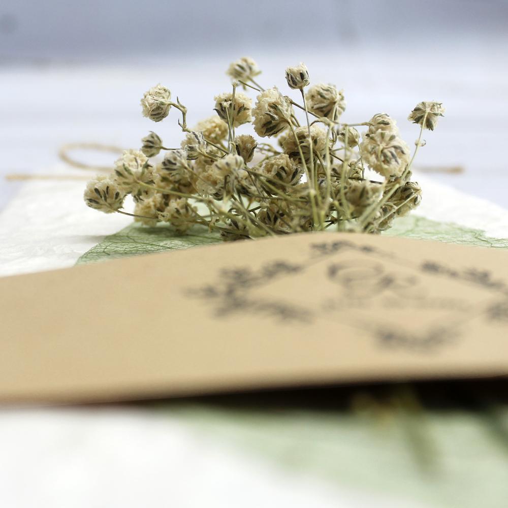 Handmade Green Leaf Wedding Invitations Personalized with Babysbreath Flower Picky Bride 